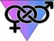 bisexuales.webp